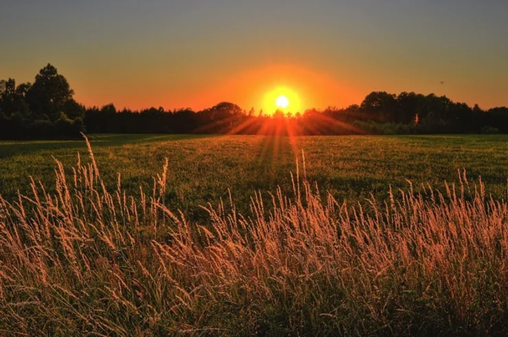 Calling all Hawkesbury landowners – learn how to manage wildlife through conservation scheme