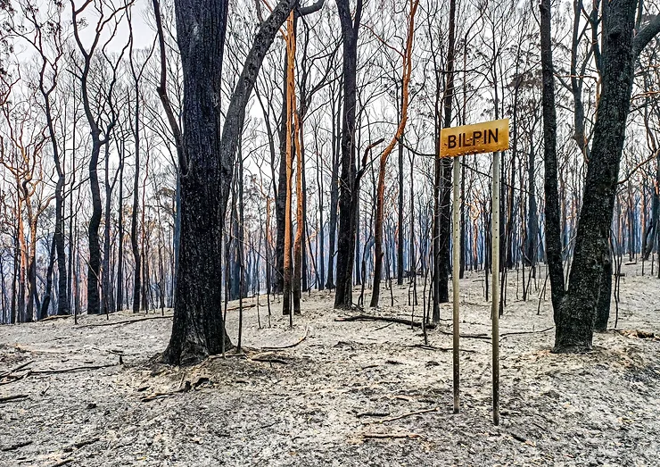 Extra time to apply for bushfire grants