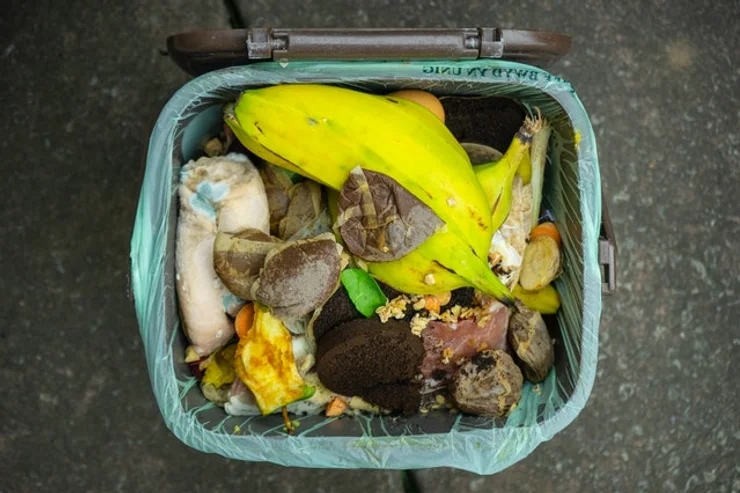 Hawkesbury could lead the way with food waste revolution to benefit us all