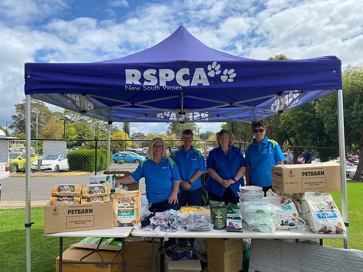 Free vet help and pet supplies from RSPCA and Animal Welfare League – Richmond, Windsor, Riverstone