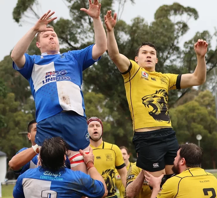 Hawkesbury Valley bow out of finals race after tough fight against Uni of NSW