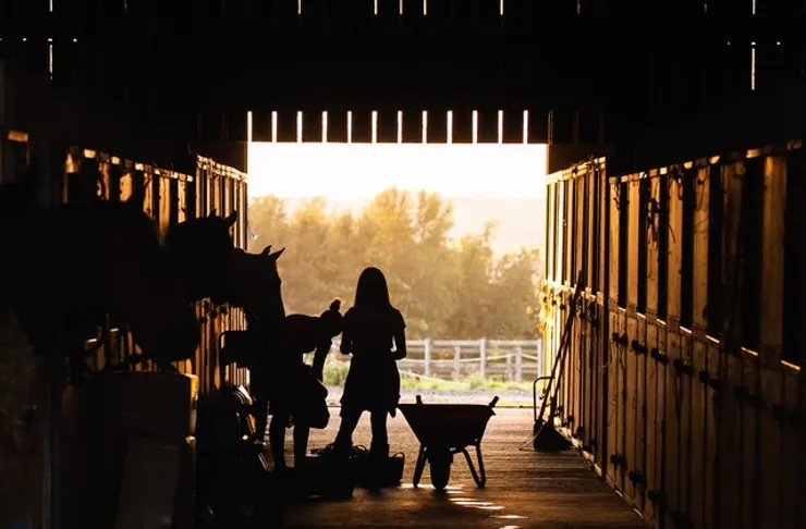 Equine courses axed at Richmond TAFE, leaving horse industry, students, and teachers stunned