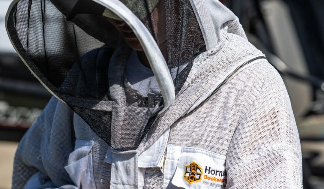 Bee Parasite Crisis Deepens in Hawkesbury Region