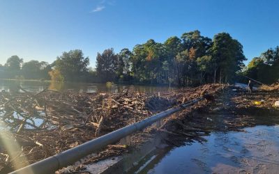 TfNSW Blames Early Dam Spill for Bridge Damage