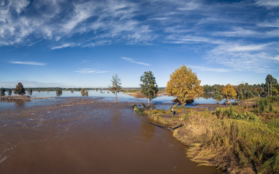 Public Health Warning Urged After Flood Leaves “Putrid” Contaminants