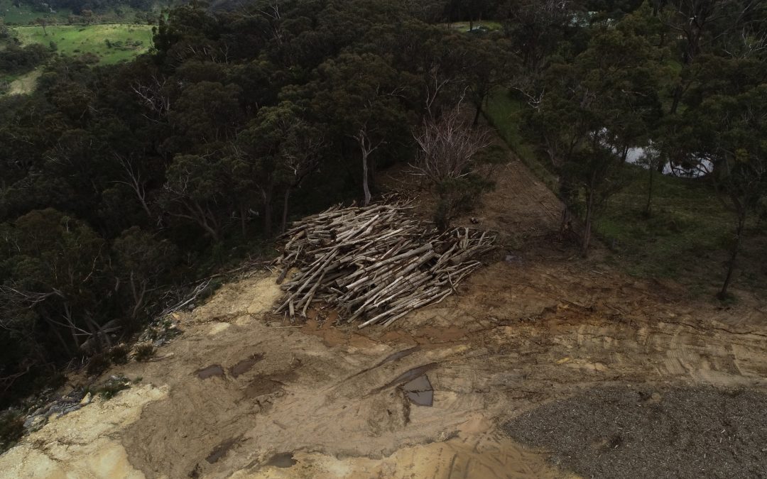 Historic Fine Following Unauthorised Land Clearing